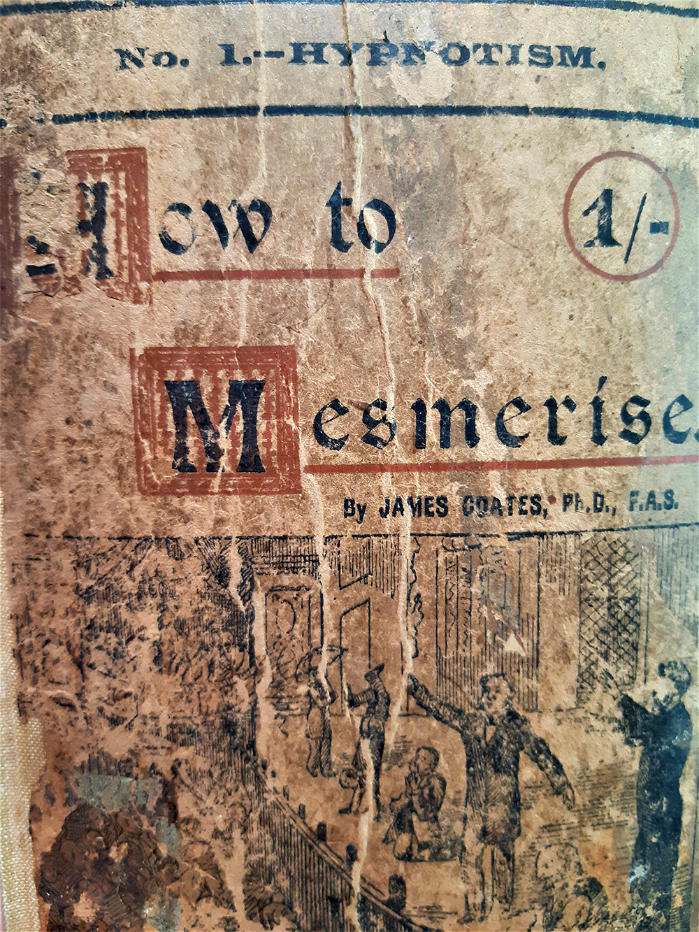 How to Mesmerise book cover