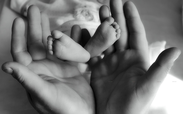 Trainees Perinatal Mental Health Conference for Health Care Professionals 2026