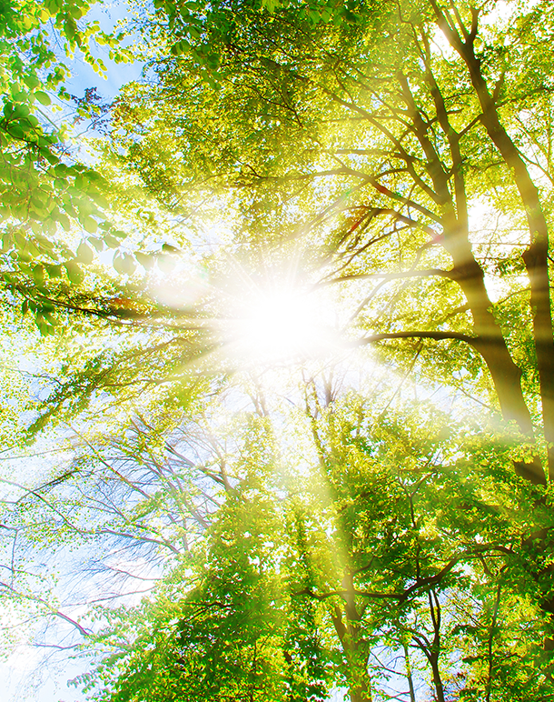 winter website image 