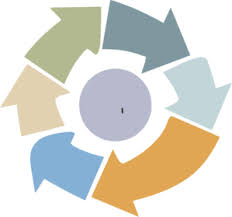 PICU-Who we are-review process