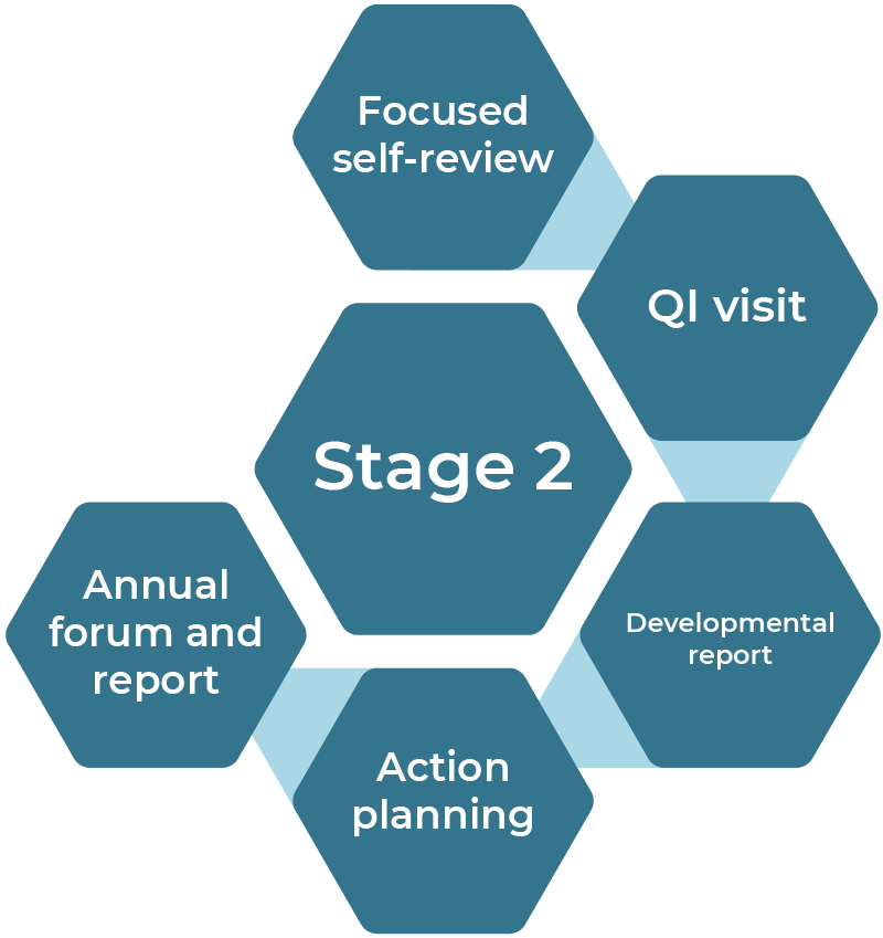 Diagram showing the developmental ‘QI’ Review