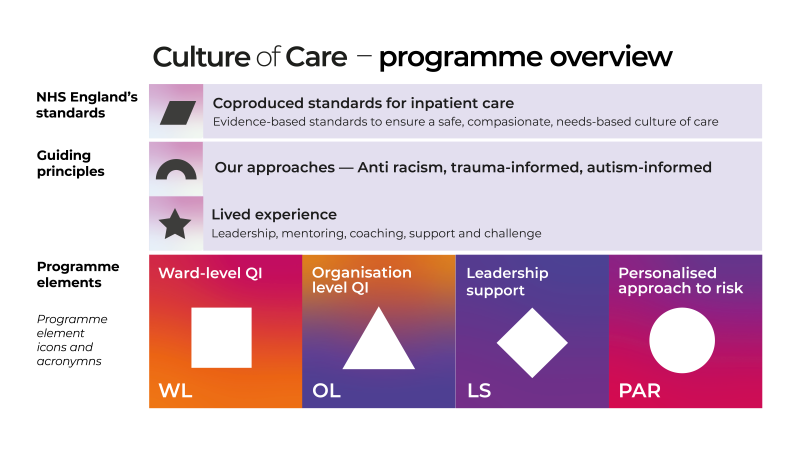 Culture of care programme overview