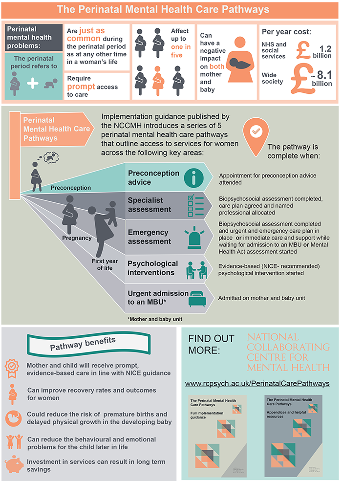 nccmh-perinatal-infographic nccmh-perinatal-infographic