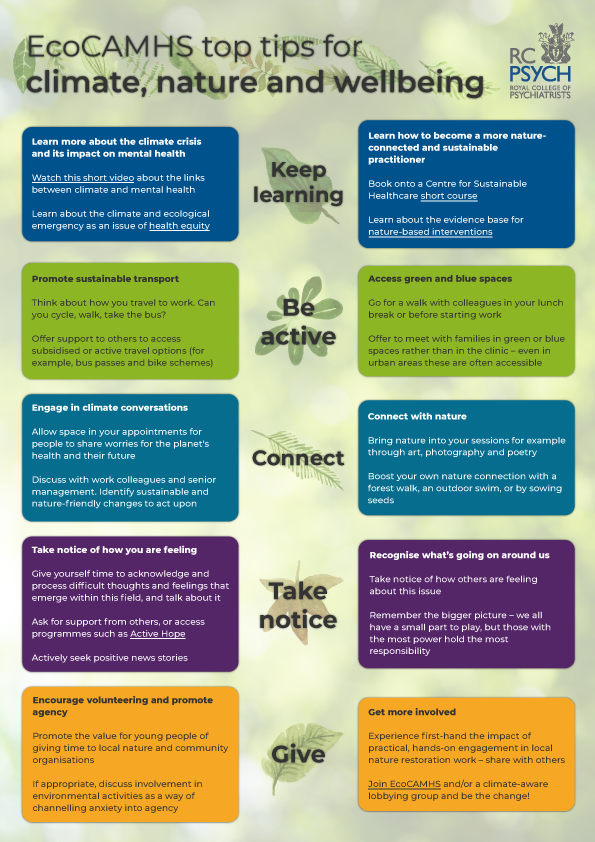 EcoCAMHS Top Nature and Climate Tips
