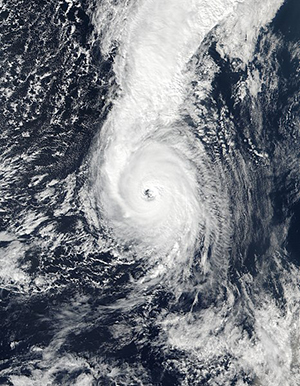 sustainability-blog-storm-Ophelia