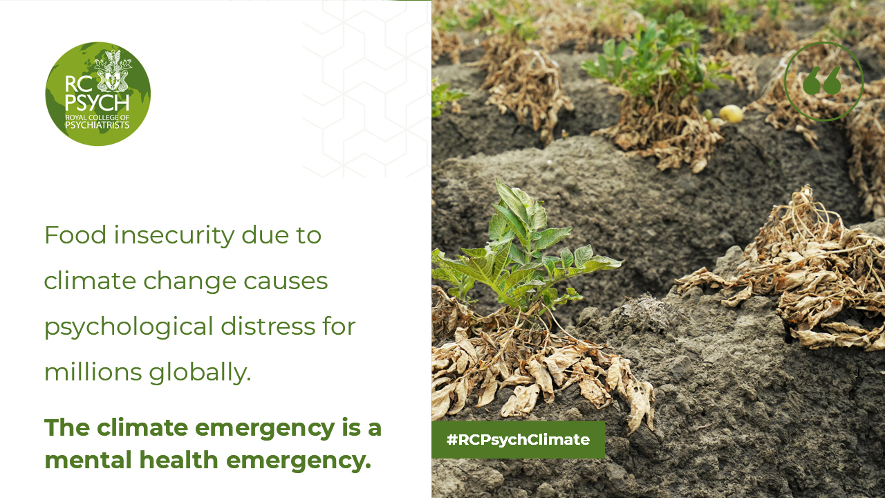 Food shortages COP26 twitter READY