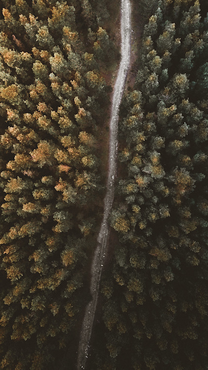 Psychiatrist and patient portrait