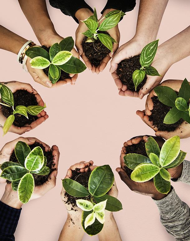 Faculty of Rehabilitation and Social Psychiatry