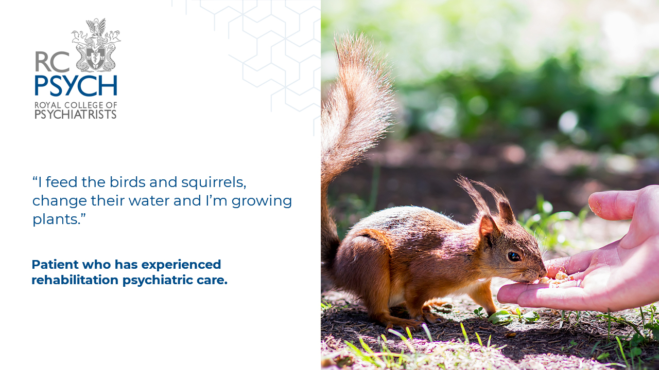 Having space I feed the birds