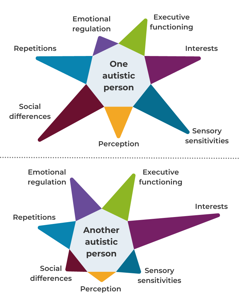 Diagrams showing two different autistic people and their varied traits and support needs.