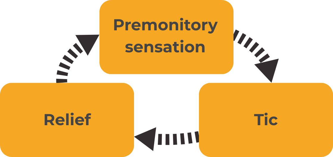 Diagram showing the cycle of tics