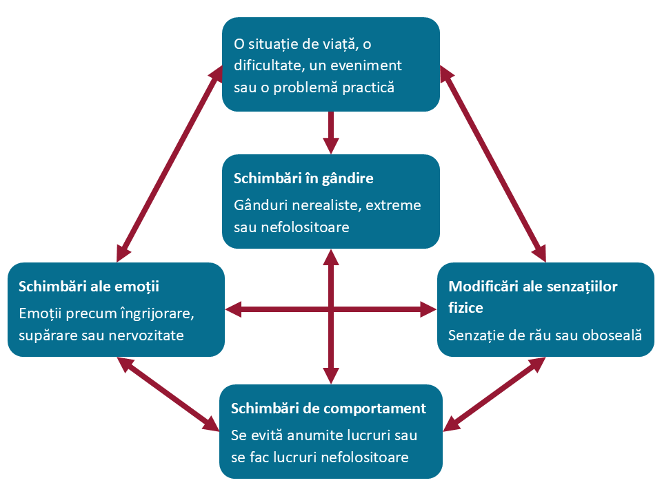 Diagram showing the cycle of anxiety in Romanian