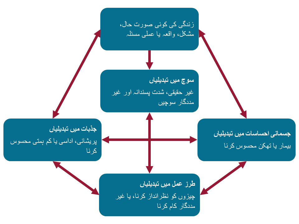 CBT diagram in Urdu