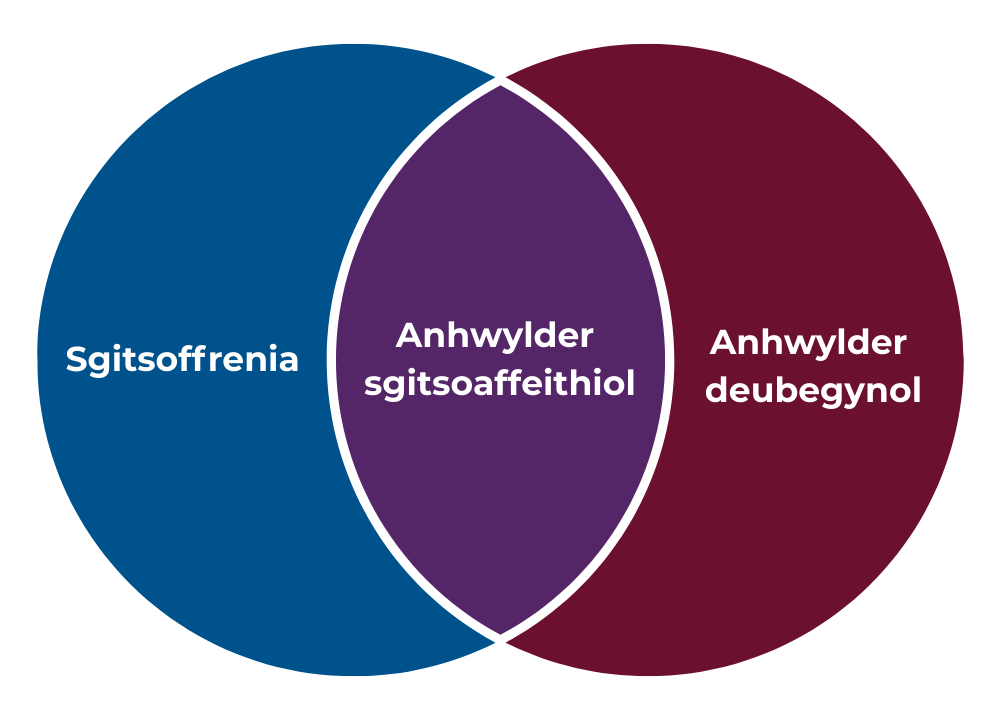 A venn diagram showing the intersection on schizophrenia and bipolar disorder in the presentation on schizoaffective disorder, in Welsh