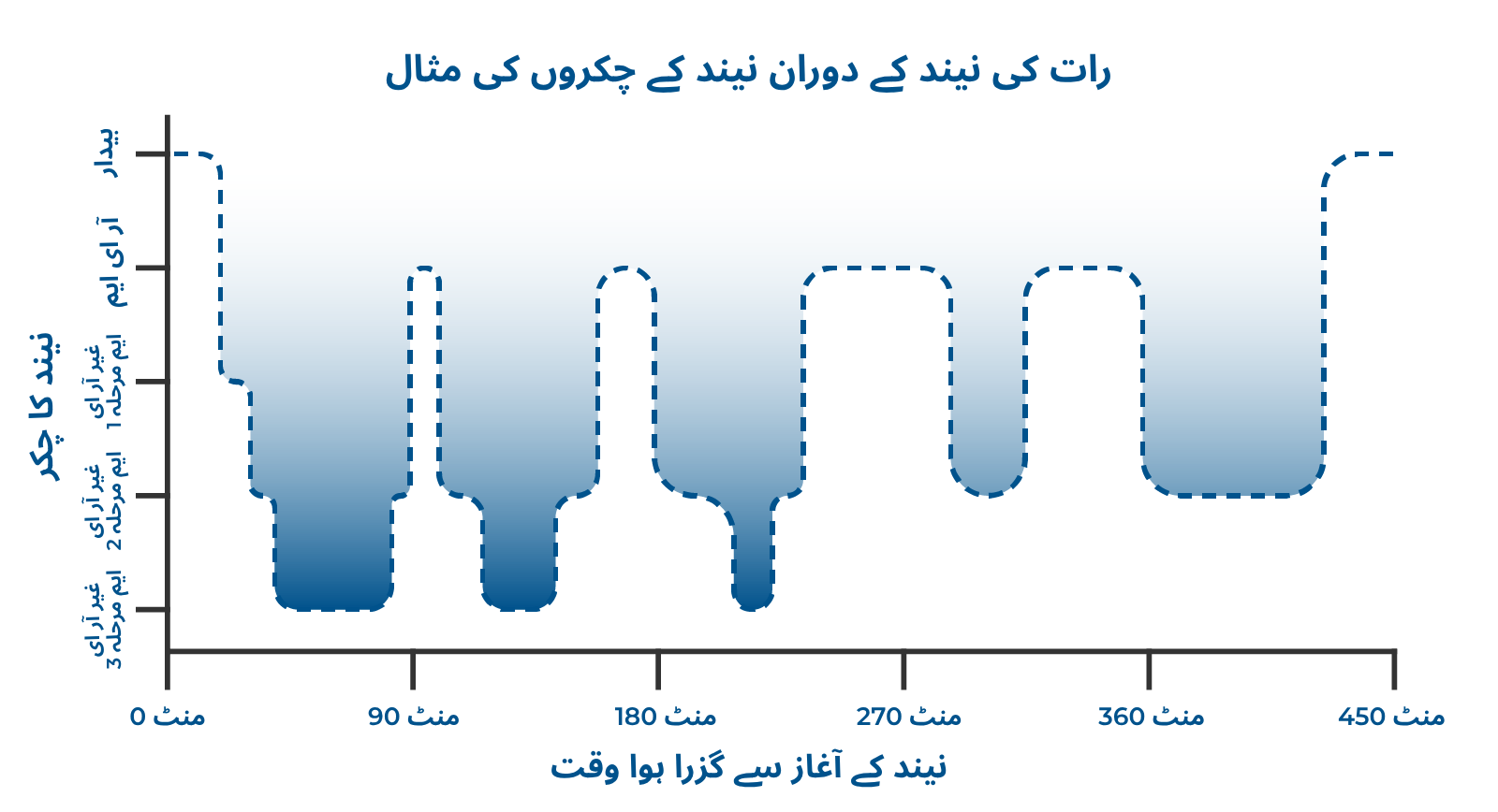 Diagram showing an example of a sleep cycle in Urdu