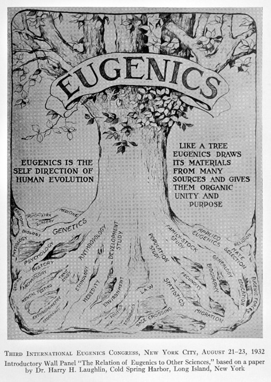 Pro eugenics poster with a drawing of a tree.
