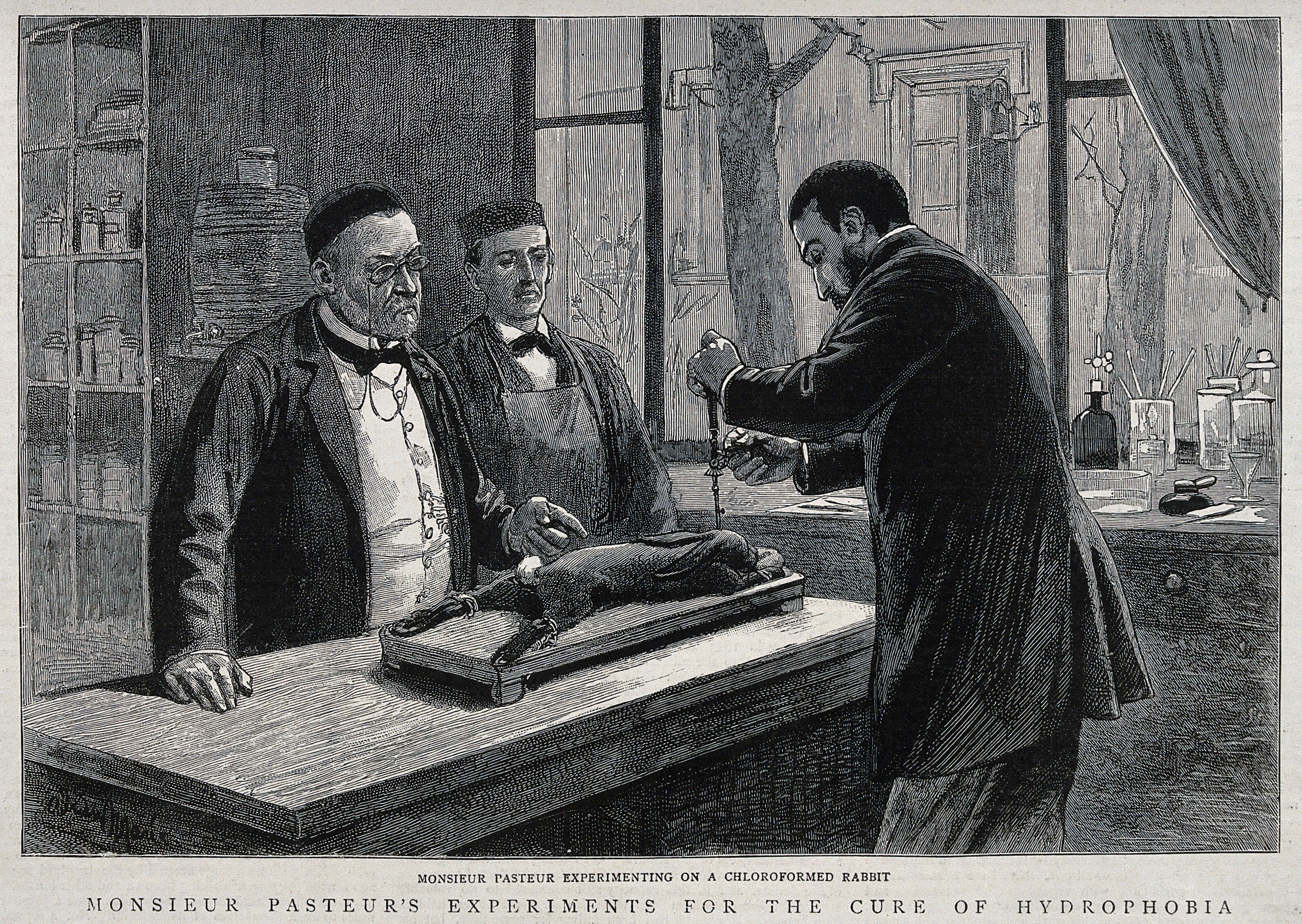 Black and white engraving of three men standing around a table trephining a rabbit.