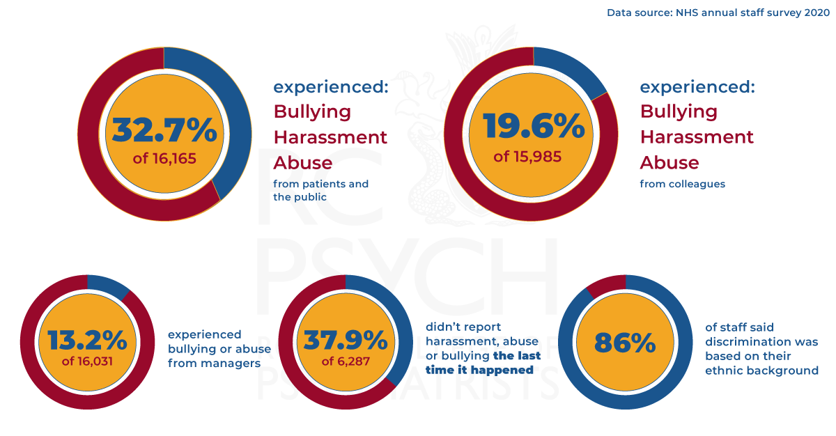 Ethnic minorities infographic