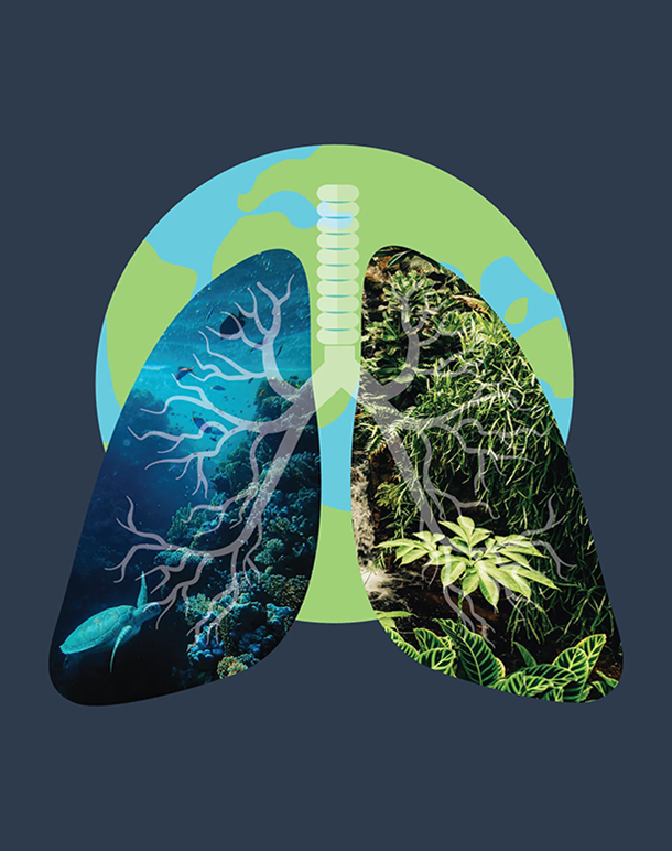 Biodiversity, climate change and health report cover