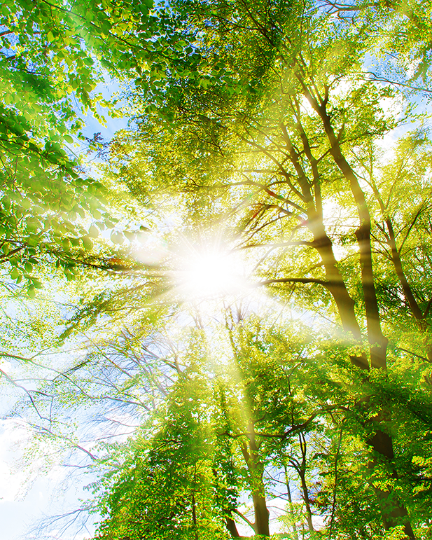 Faculty of Psychiatry of Intellectual Disability Spring Conference 2026