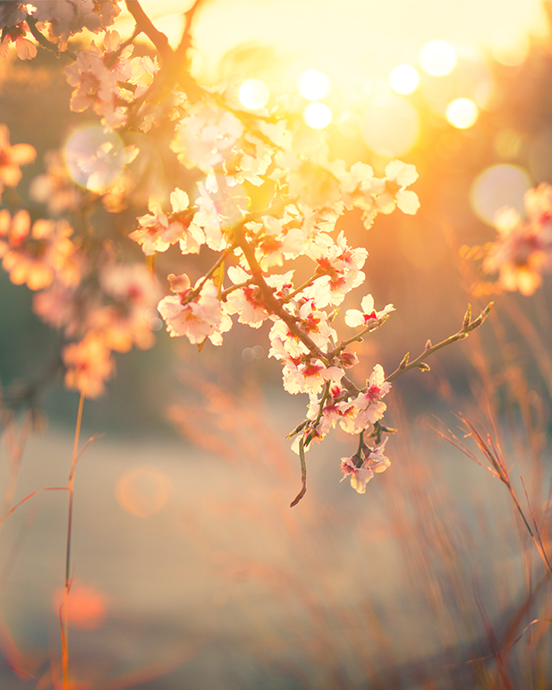 Mood disorders: Emerging evidence and evolving care